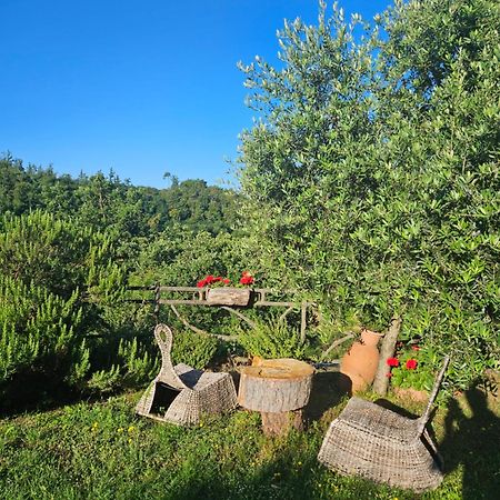 San Martino Country Villa B&B Barberino di Mugello Buitenkant foto