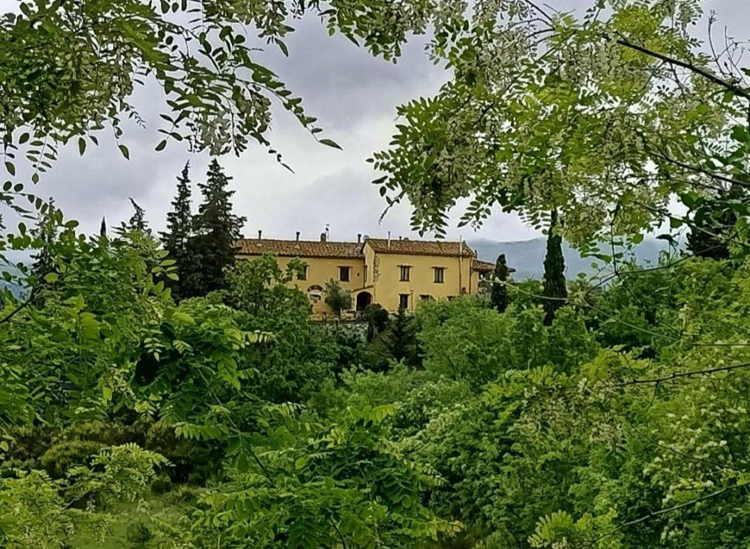 San Martino Country Villa B&B Barberino di Mugello Buitenkant foto