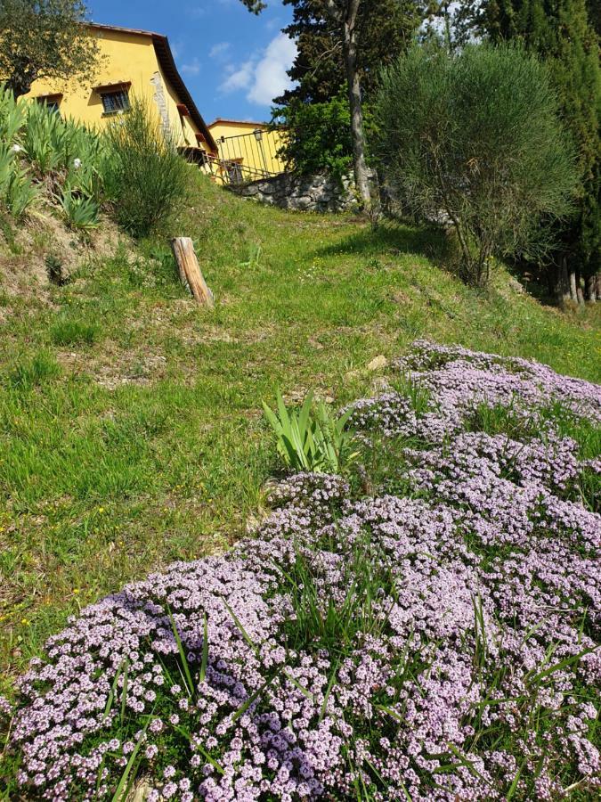 San Martino Country Villa B&B Barberino di Mugello Buitenkant foto